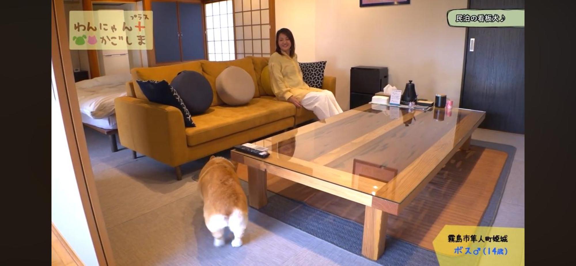 קירישימה Boss'Shouse 犬ok 1組限定の宿 מראה חיצוני תמונה